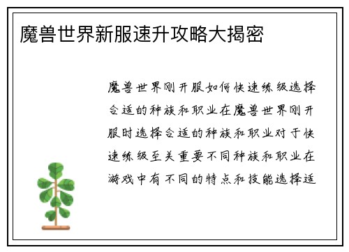 魔兽世界新服速升攻略大揭密